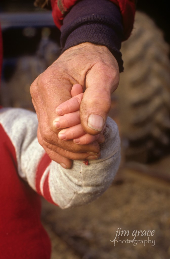 Grandfather and Grandson on farm